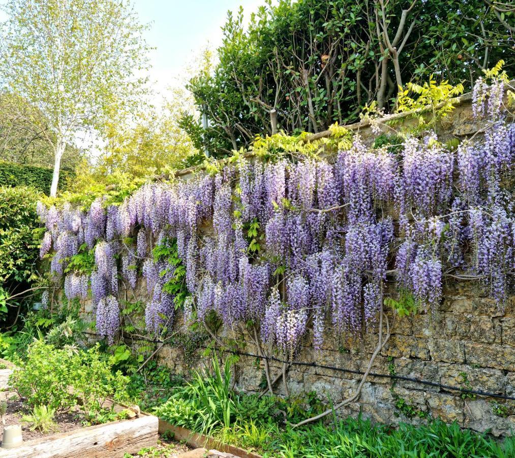 The Ollerod Hotell Beaminster Eksteriør bilde