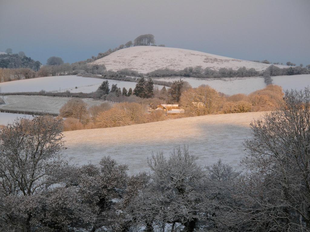 The Ollerod Hotell Beaminster Eksteriør bilde